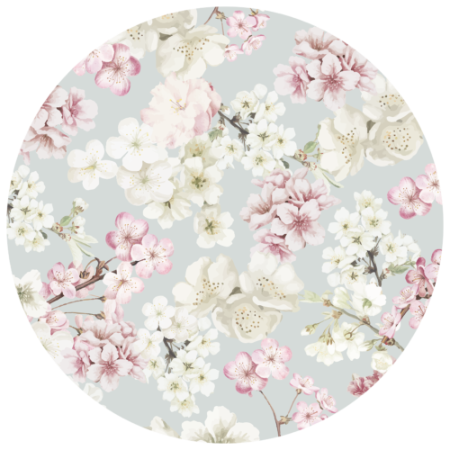 Behangcirkel Sierlijke kersenbloesem sakura