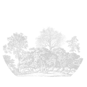 Behangcirkel Het oude bos