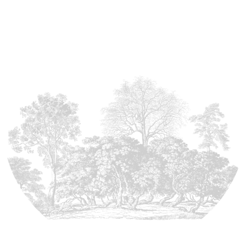 Behangcirkel Het oude bos