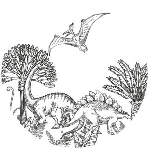 Behangcirkel Dino schildering - Zwart-wit
