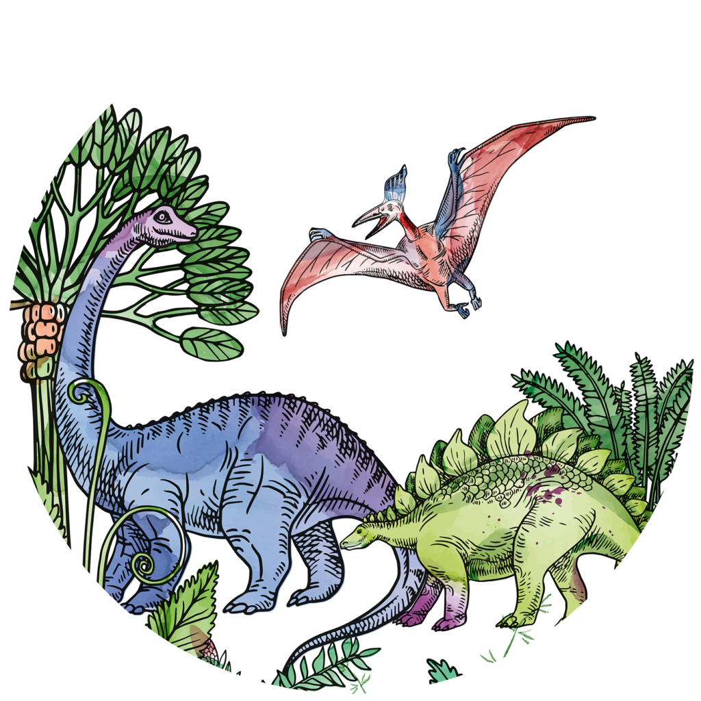 Behangcirkel Dino schildering - Kleur