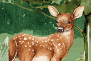 Kinderbehang met bosdieren en berglandschap voor een avontuurlijke kamerinrichting - Bosrijk avontuur