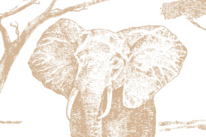 Safari dieren behang in sepia met olifanten, leeuwen en zebras in de savanne - Sepia safari