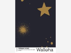 Sterrenhemel in de nacht - Behangstaal