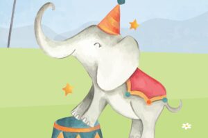 Circus in het land - Zoom