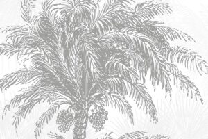 Palmbomen en bamboebossen - Zoom