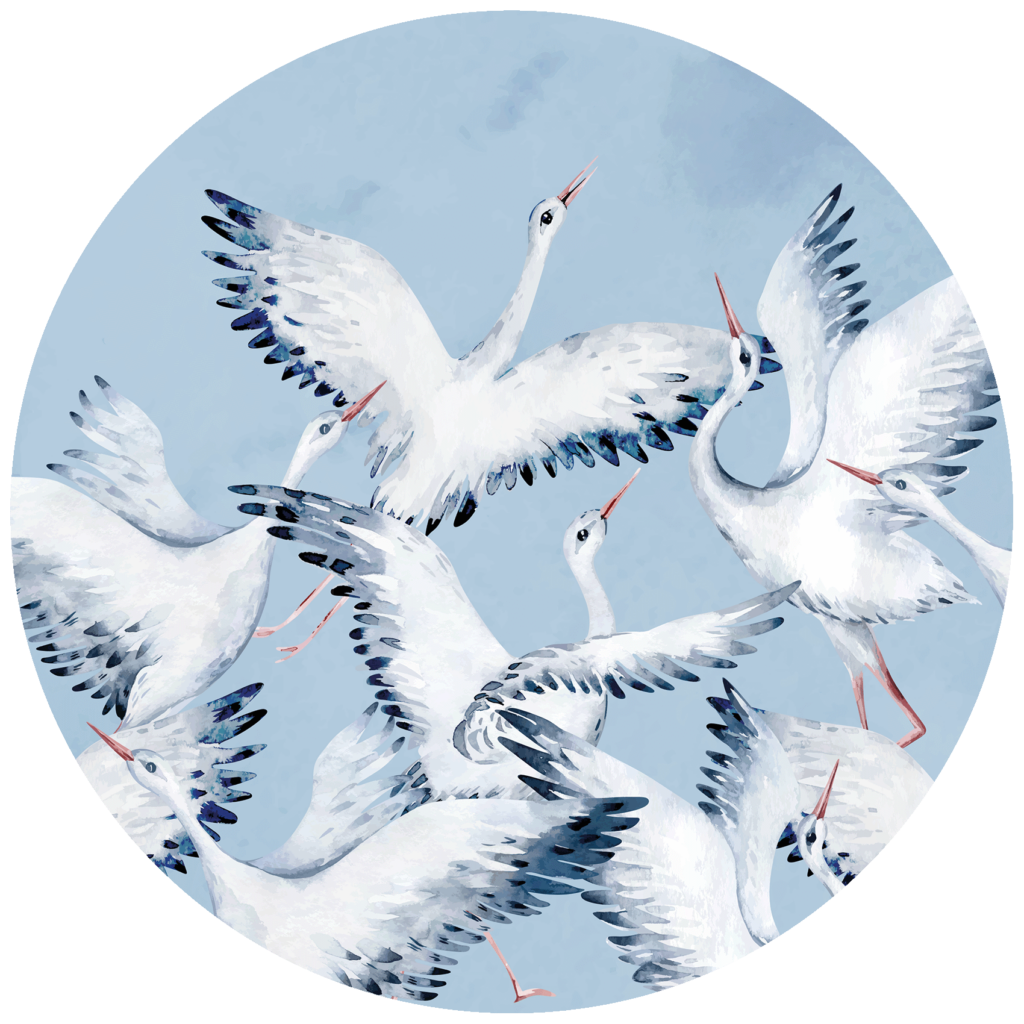 Behangcirkel Vleugelslag