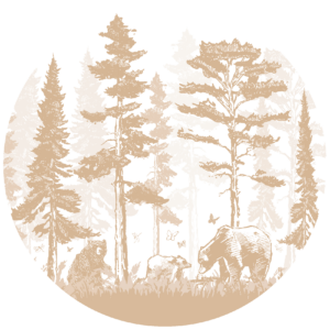 Behangcirkel Schaduwberen