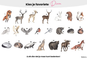 Bloemenbos - Kies je dieren